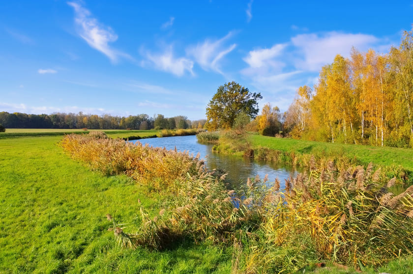 Río serpenteante a través del paisaje otoñal del Spreewald, Alemania.